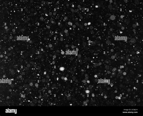 Snow Flying Dust Particles On A Black Background Stock Photo Alamy