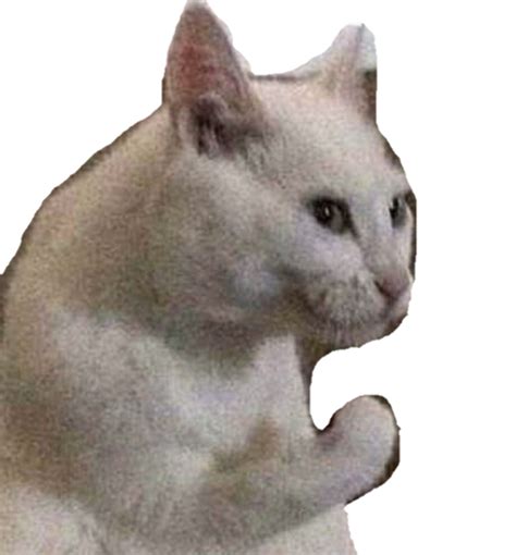 Cursed Cat Png