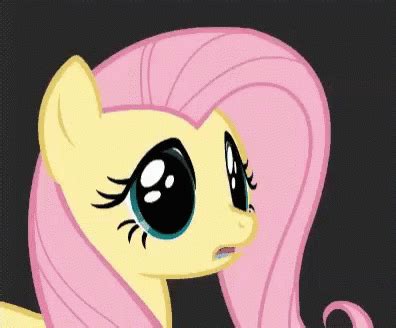 Fluttershy GIF - Fluttershy - Discover & Share GIFs