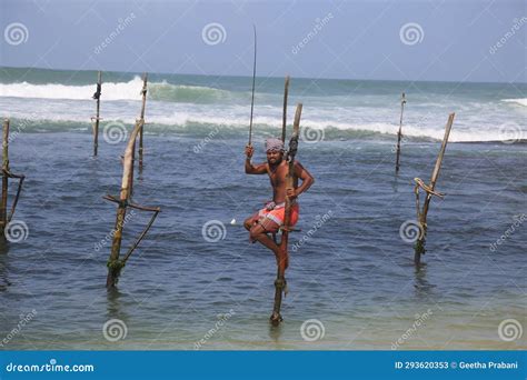 Fisherman In Traditional Stilt Fishing Editorial Stock Photo Image Of