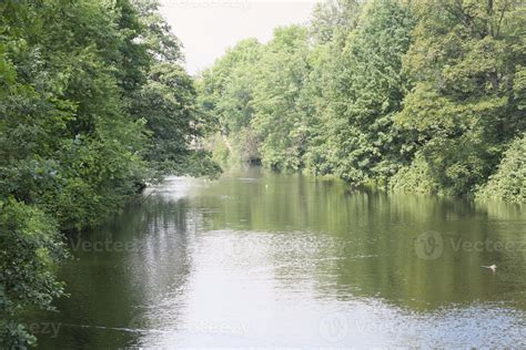 Calm And Slow River Flowing Through The Forest Lush Green Trees