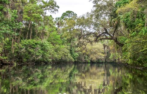 The Withlacoochee Florida Paddle Notes