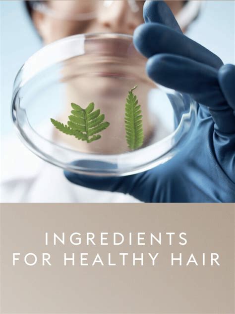 Ingredients For Healthy Hair Natural Skin And Hair Products For Men Over 40 Vitaman Usa