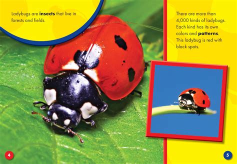Mua The Life Cycle of a Ladybug (Life Cycles: Blastoff! Readers Level 3