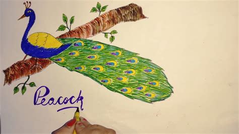 मोर का चित्र आसानी से बनाना सीखे How To Draw Peacock With Colours For