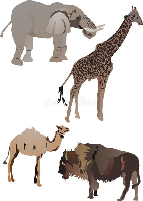 Collection Of Animals From Africa`s Big Five Vector Illustration On