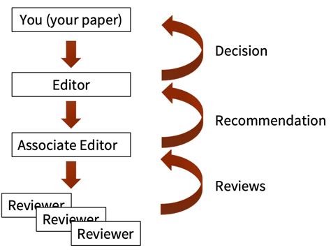 The Peer Review Process