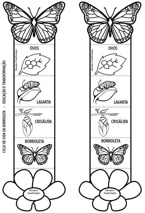 Blog Educação e Transformação Ciclo de vida do sapo Frühling im