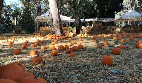 Halloween At The Mostra D Oltremare In Naples With Fuori Di Zucca The