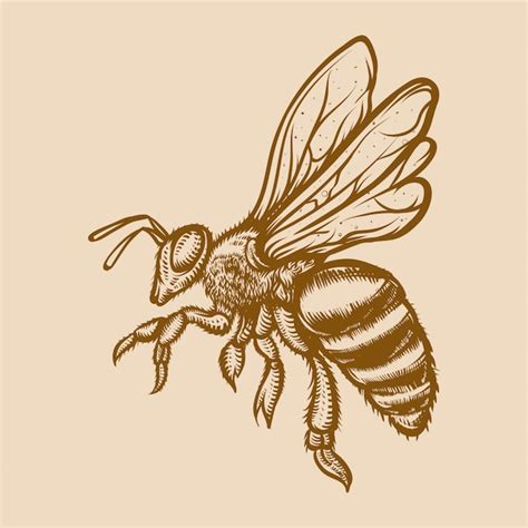 Premium Vector Engraving Illustration Of Honey Bee