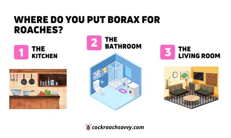 Borax For Roaches How Does It Eliminate These Pesky Insects