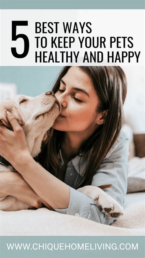 5 Best Ways To Keep Your Pet Healthy And Happy