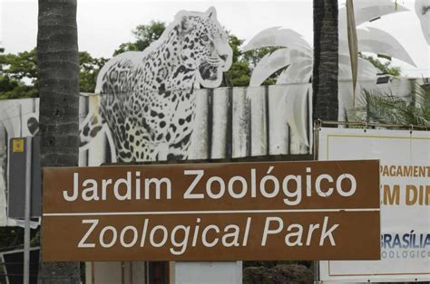 Animais Heterotroficos - Poluição sonora: problema que prejudica humanos, animais e plantas