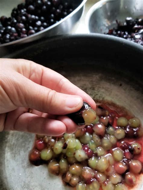 Concord Grape Jam With Vanilla Baking Sense®