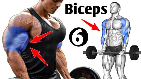 Big Biceps Exercises Fastest Youtube