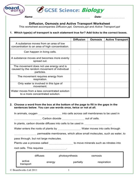 Diffusion Osmosis And Active Transport Worksheet