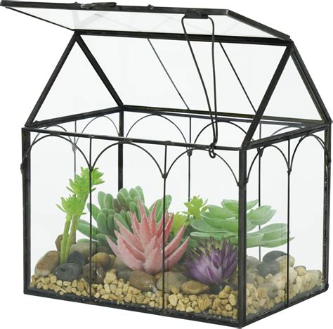 Amazon Ferrisland Glass Terrarium Plants With Lid Black Geometric