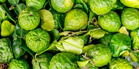 Bergamot: the sweet scent of Calabria - Great Italian Chefs