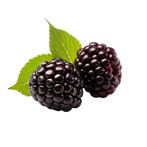 AI generated Blackberry isolated on transparent background 36292777 PNG