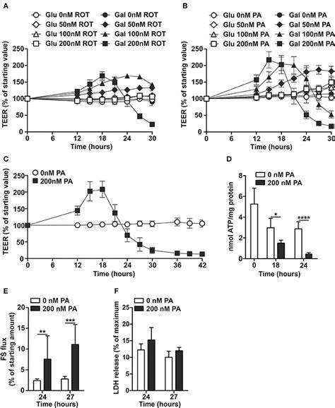 Frontiers Mitochondrial ATP Depletion Disrupts Caco 2 Monolayer