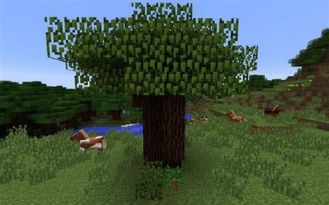 How To Grow A Tree In Minecraft Tips To Make It Big And Fast