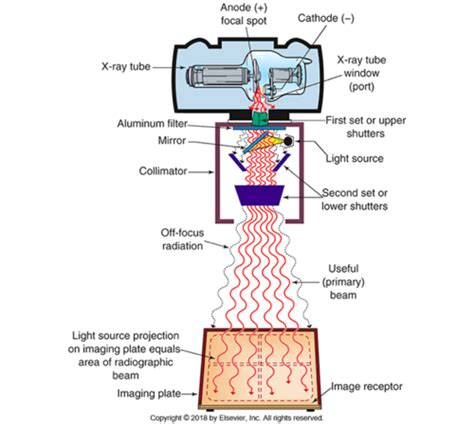 Beam Collimation X Ray The Best Picture Of Beam