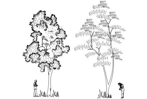 Two simple tree elevation blocks cad drawing details dwg file - Cadbull