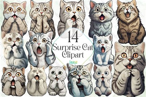 Surprise Cat Sublimation Bundle Graphic By Janecreative Creative Fabrica