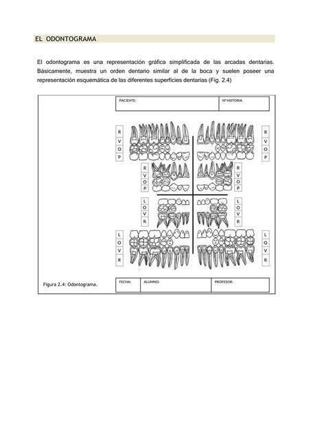 El Odontograma Jorge Furno UDocz