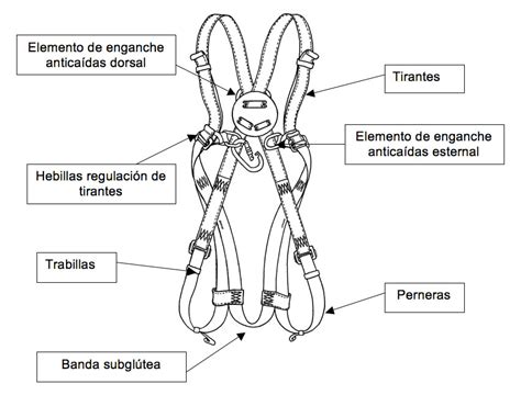 Las Partes Del Arn S De Seguridad