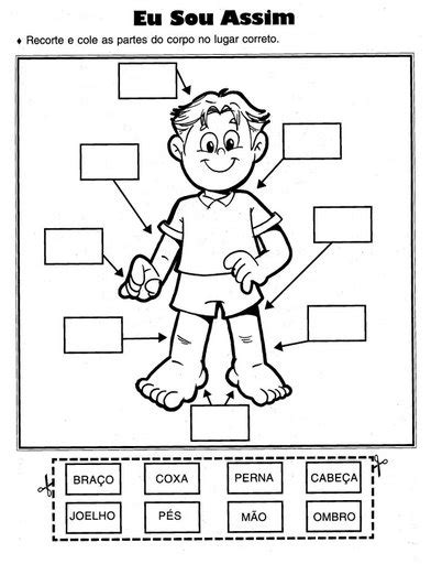 Atividade Sobre As Partes Do Corpo Humano Desenhos Para Colorir