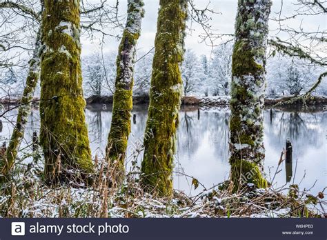 A Dusting Of Snow Falls At Lewis And Clark National Historical Park