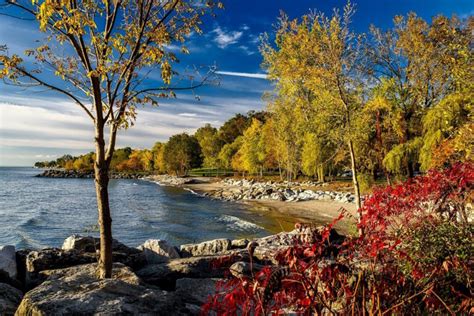 Beneath the Surface: 15 Surprising Facts About Lake Ontario