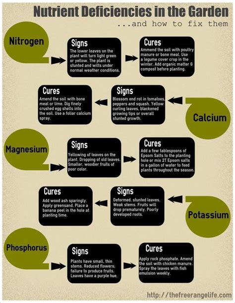 Soil nutrient deficiencies – Artofit