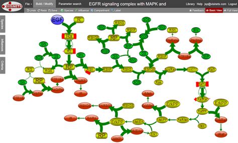 EGFR signaling pathway shown in working space of Visinets in ... 