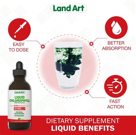 Liquid Chlorophyll Drops Mint Flavored Extra Strength Cold Extracted From Wild Non Gmo Alfalfa