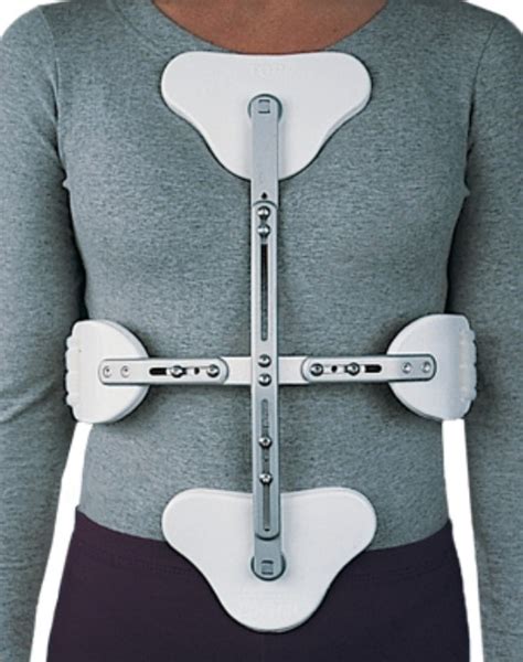 Lumbosacral Brace Support By Bird Cronin