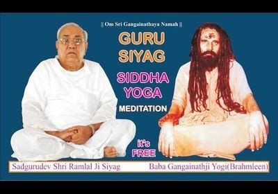 Guru Siyag Siddha Yoga Seeker