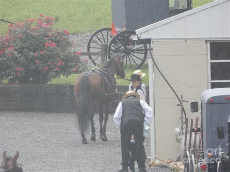 Gathering Outside the Barn Photograph by Christine Clark - Fine Art America