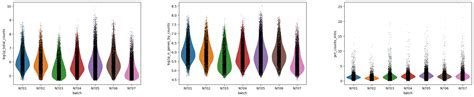 Hands On Filter Plot And Explore Single Cell Rna Seq Data With Scanpy