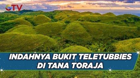 Indahnya Bukit Teletubbies Di Dunia Nyata Di Tana Toraja