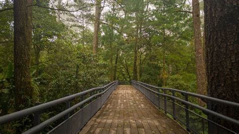 Así luce el renovado Parque Nacional El Boquerón Noticias La Gaceta