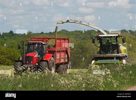 Harvesting grass for silage making for cattle feed Stock Photo - Alamy