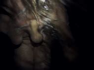 Tonetta Weaver nude pics página