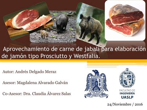 Pdf Aprovechamiento De Carne De Jabal Para Elaboraci N De