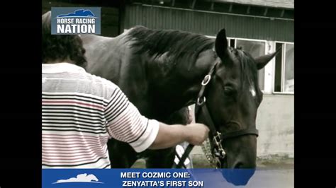 Cozmic One Zenyattas First Foal Youtube