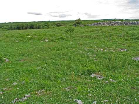 Burren Stony Meadow © C Michael Hogan Geograph Britain And Ireland