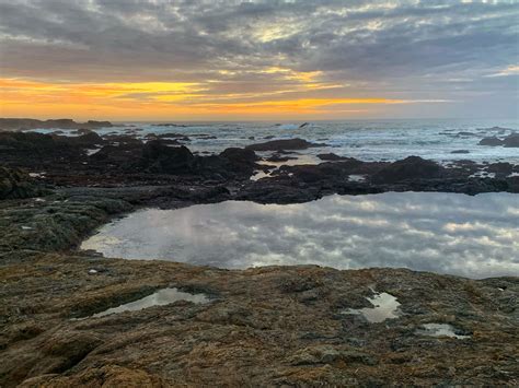 12619. Glass Beach in Fort Bragg, California | Fort bragg california ...