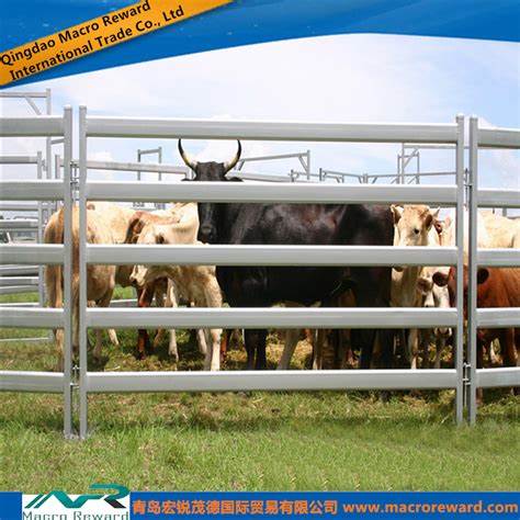 Azs Ns Galvanized Steel Fence Farm Fence Cattle Panel Panel And Cattle