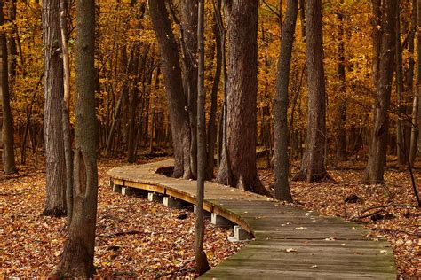 A Guide to Fall Foliage in the Northeast